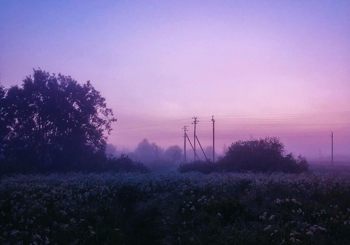 王楚钦4-0胜张禹珍 晋级WTT新加坡大满贯四强